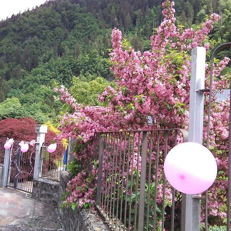 Casa Per Ferie Paola Di Rosa Hotel Arta Terme Buitenkant foto