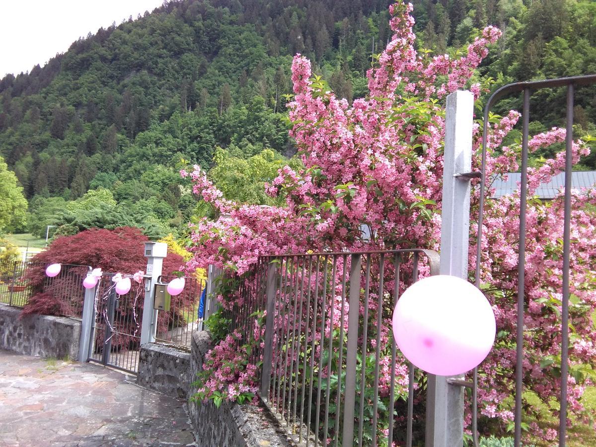 Casa Per Ferie Paola Di Rosa Hotel Arta Terme Buitenkant foto
